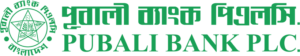 USD 20 Mn Senior Debt